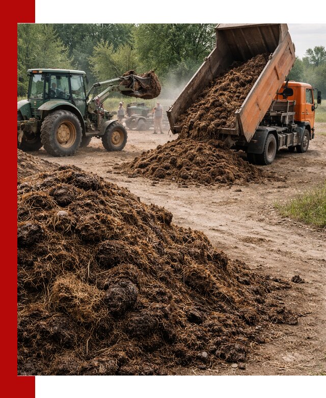 Доставка навоза самосвалами в Чернушке для сельхозпотребностей